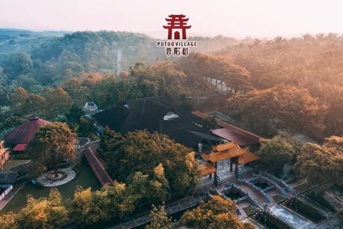 Aerial view of Putuo Village's temple rooftops surrounded by forest